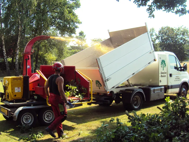 Bomen snoeien in Meijel