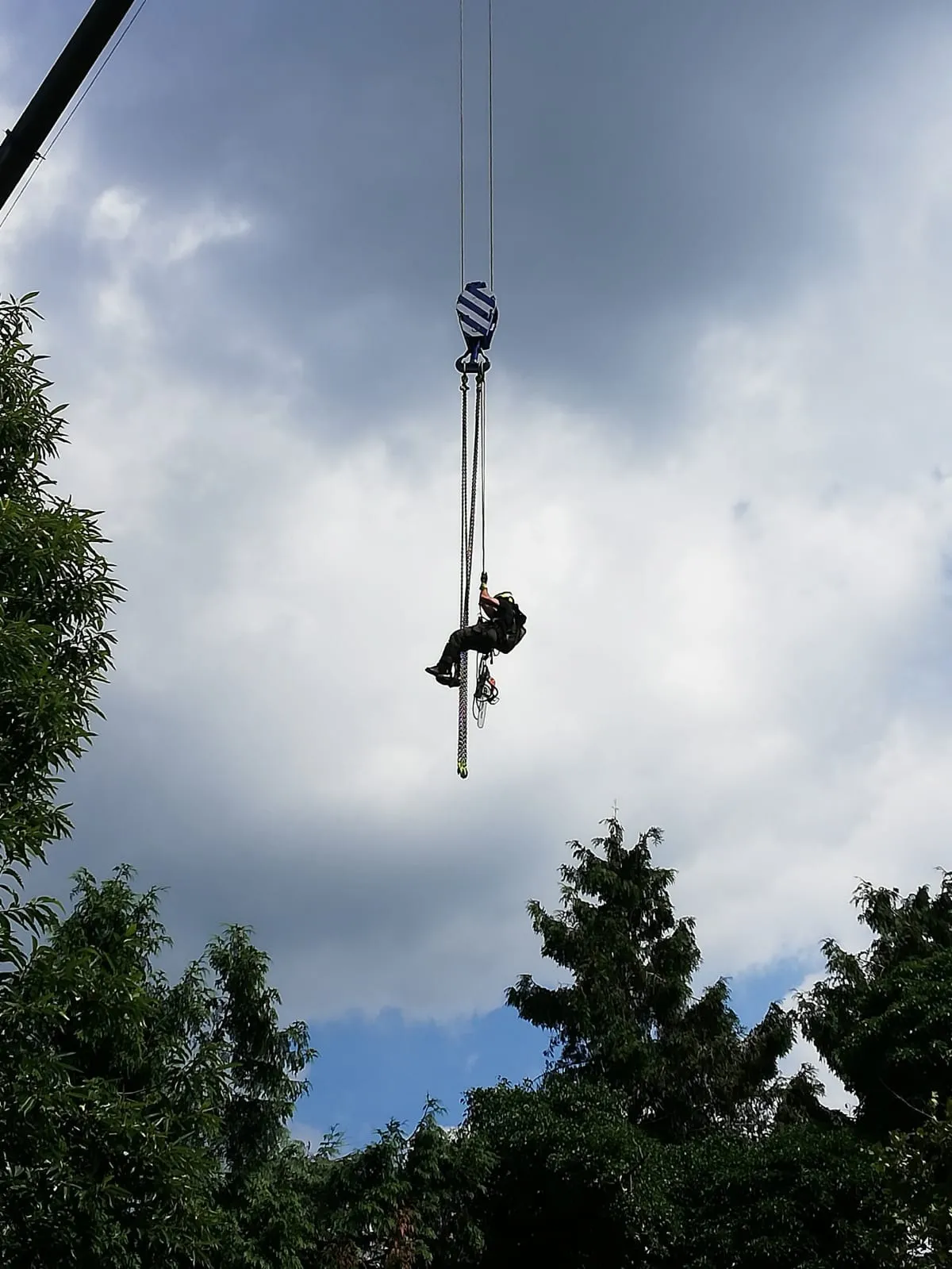 Klimtechnieken boomverzorging