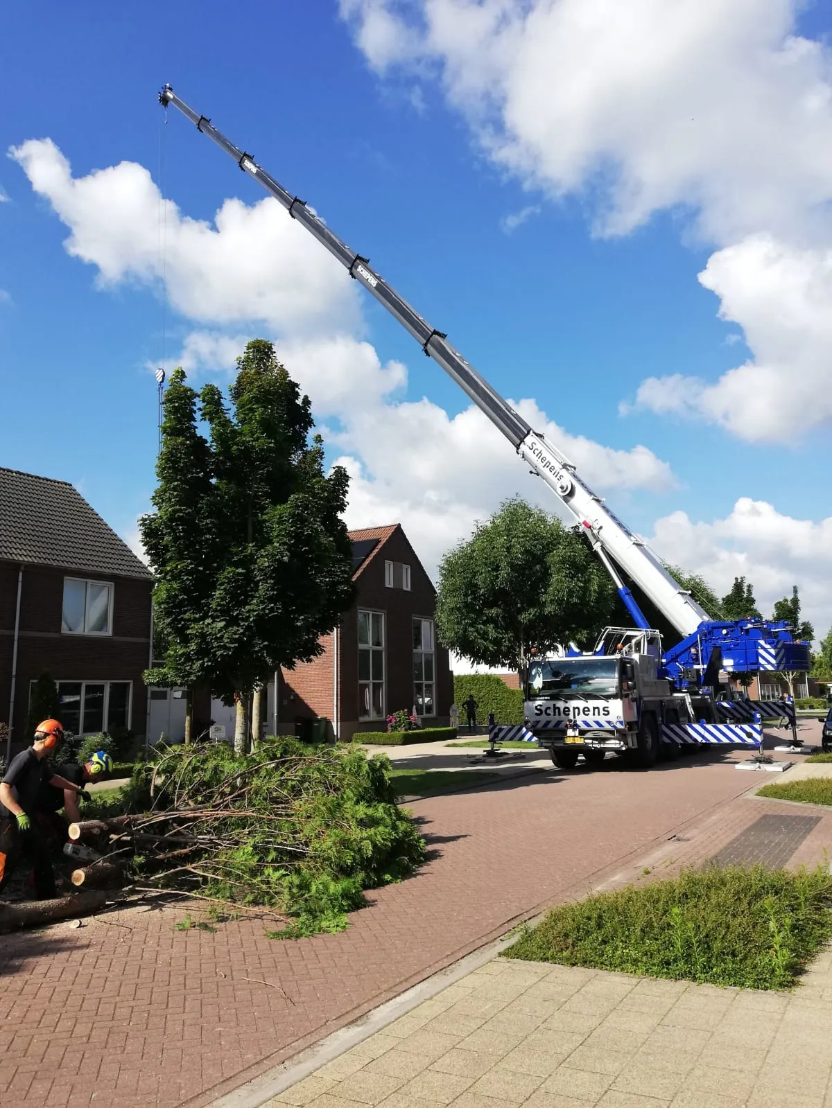 Stobben frezen en verwijderen