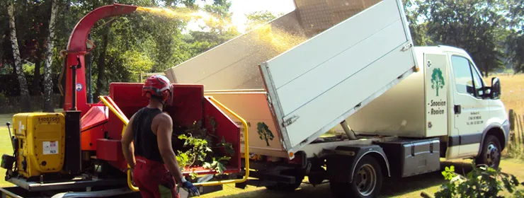 Specialist in bomen rooien